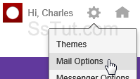 Access Yahoo Mail options