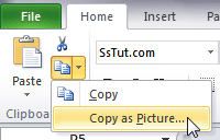 Copy as picture in Excel 2010