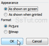 Customize Excel screenshot options