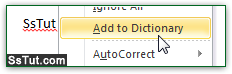 Add new word to custom dictionary file