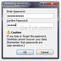 Add a password to a section in OneNote 2010