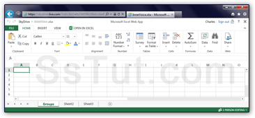 Excel web app running inside Internet Explorer