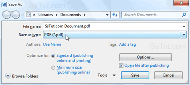 Save as PDF document options in Word 2010