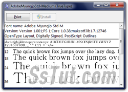 Preview text sizes in the Windows Font Viewer program